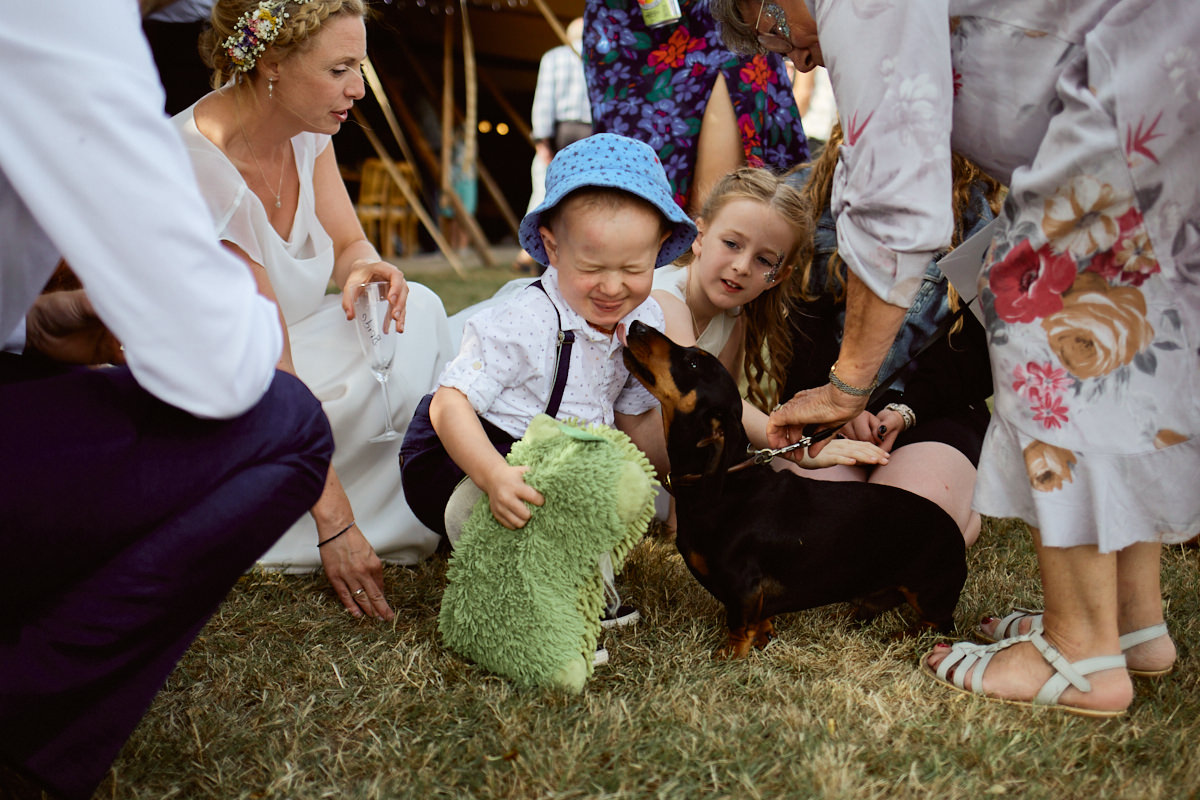 Funny wedding photo of a boy being licked by a dachshund watched by the bride