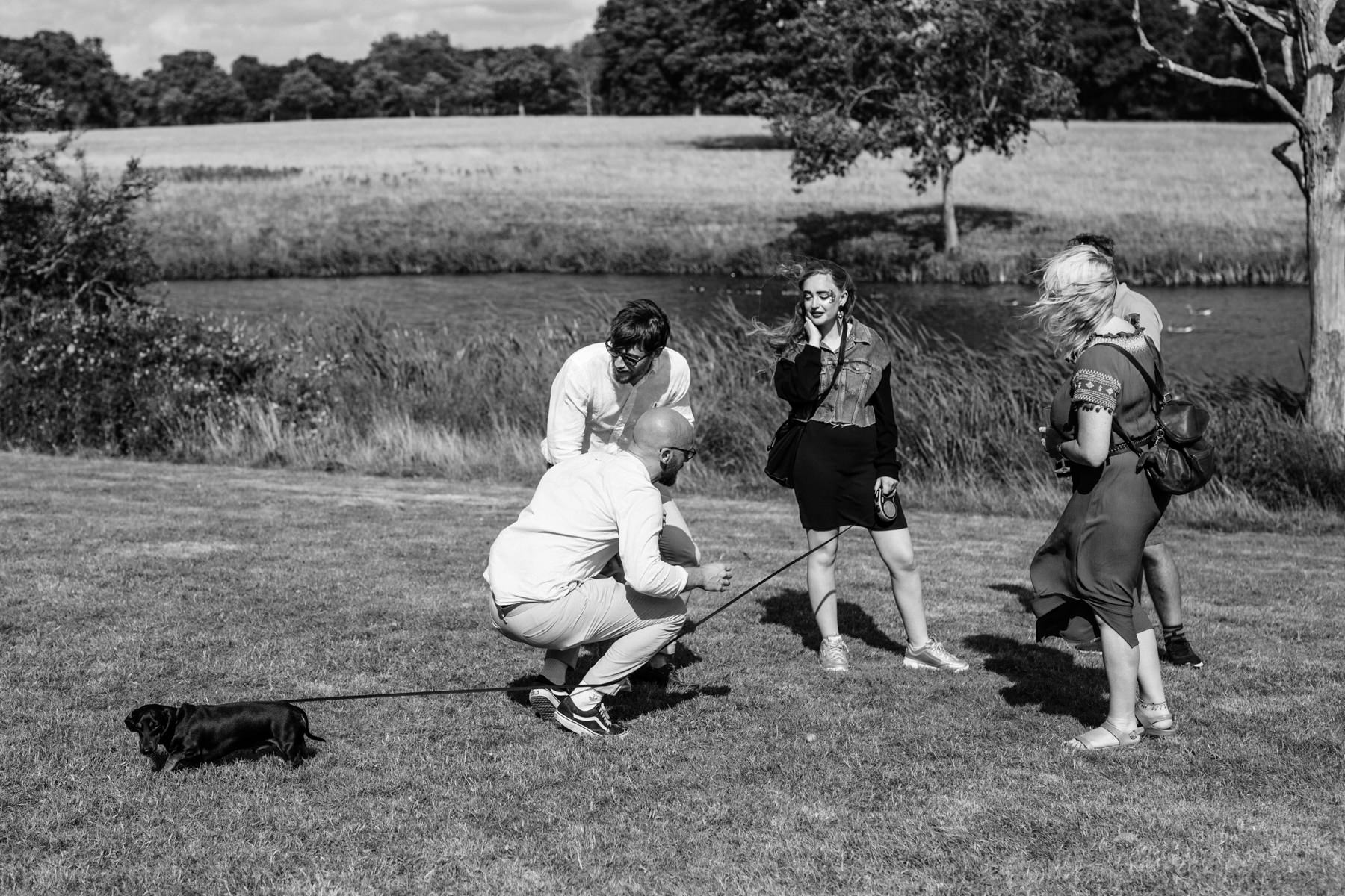 Funny wedding photo of a dog on a lead