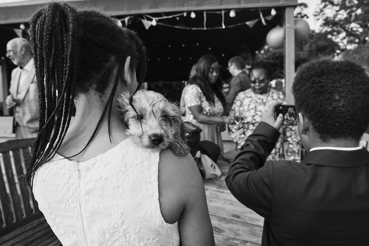 Cute dog at Welldiggers arms pub wedding in Petworth, Sussex